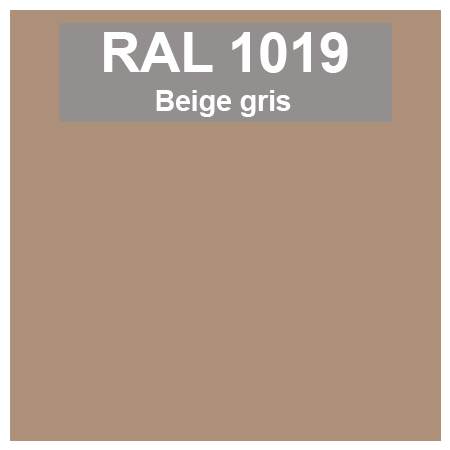 Code teinte RAl 1019 Beige gris