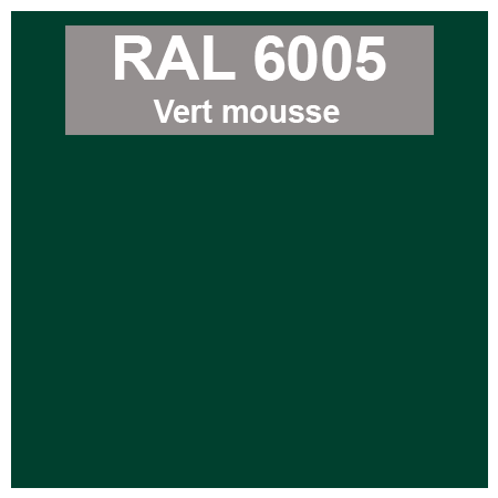 Code teinte RAl 6005 Vert mousse