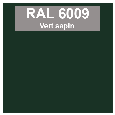 Code teinte RAl 6009 Vert sapin