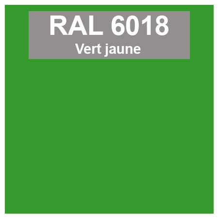 Code teinte RAl 6018 Vert jaune
