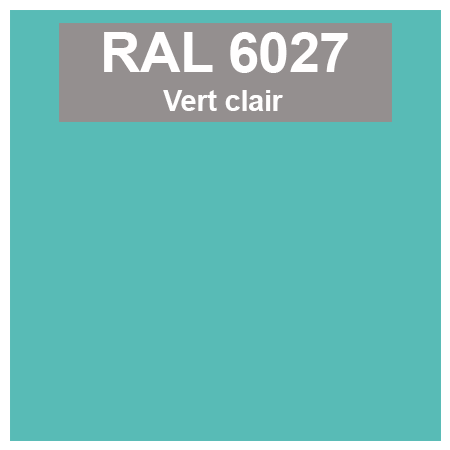 Code teinte RAl 6027 Vert clair