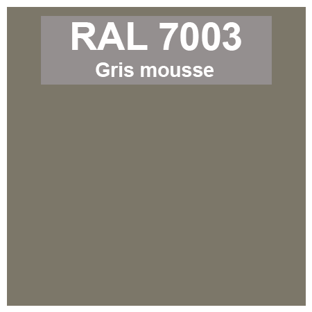 Code teinte RAl 7003 Gris mousse