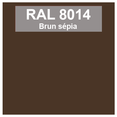 couleur ral 8014 brun sépia
