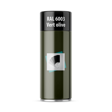 bombe de peinture ral 6003 vert olive