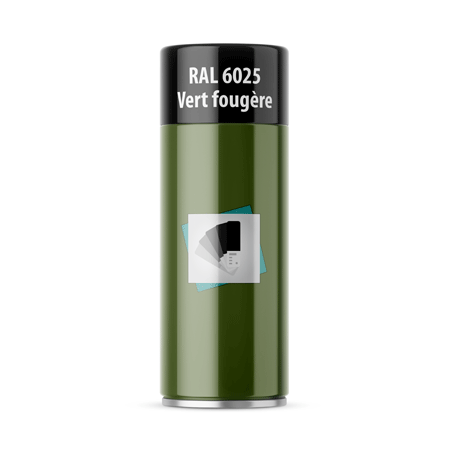 bombe de peinture ral 6025 vert fougère