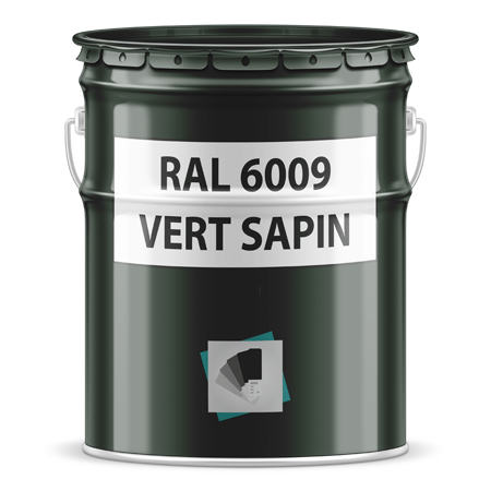 ral 6009