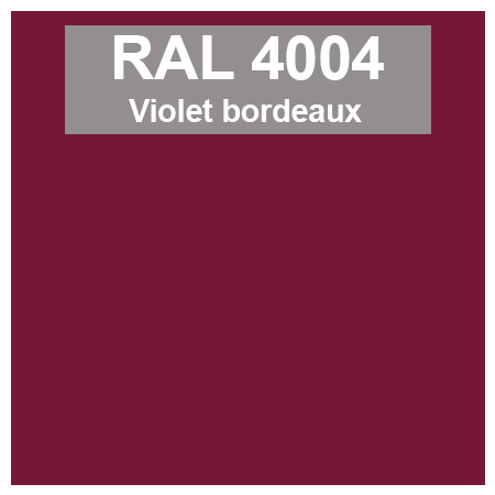 Code teinte RAl 4004 Violet bordeaux