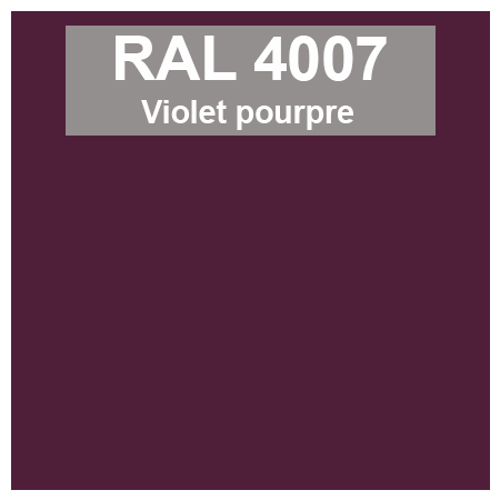 Code teinte RAl 4007 Violet pourpre
