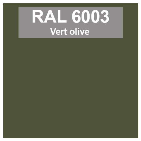 Code teinte RAl 6003 Vert olive