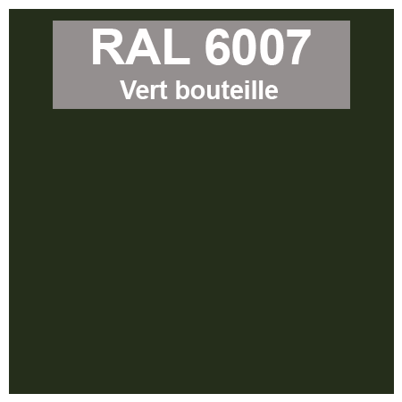 Code teinte RAl 6007 Vert bouteille