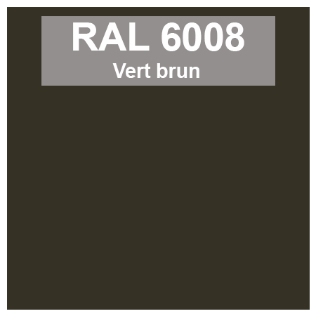 Code teinte RAl 6008 Vert brun