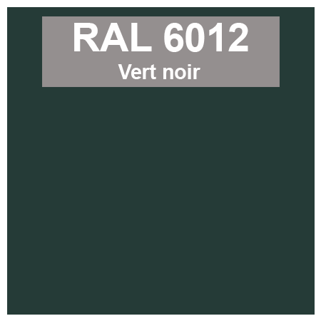 Code teinte RAl 6012 Vert noir