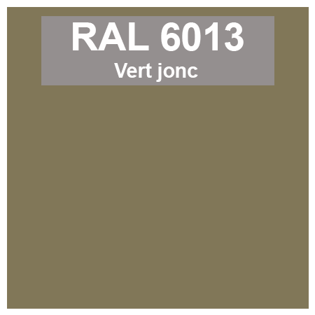 Code teinte RAl 6013 Vert jonc