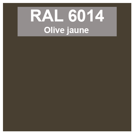 Code teinte RAl 6014 Olive jaune