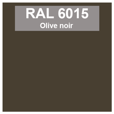 Code teinte RAl 6015 Olive noir