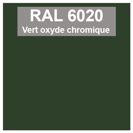 Code teinte RAl 6020 Vert oxyde chromique