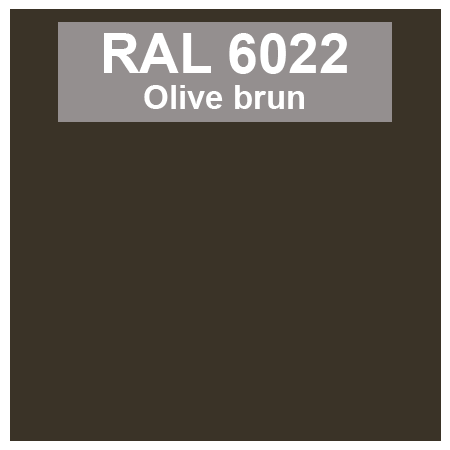 Code teinte RAl 6022 Vert brun