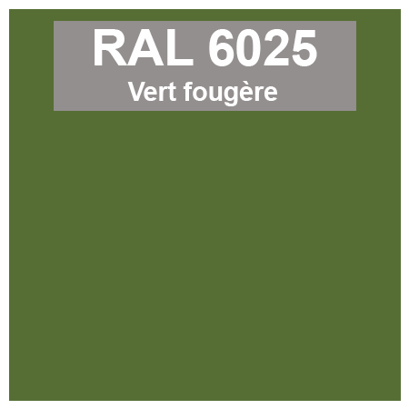 Code teinte RAl 6025 Vert fougère