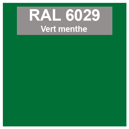 Code teinte RAl 6029 Vert Menthe
