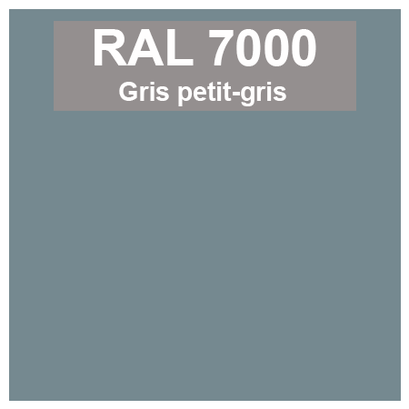 Code teinte RAl 7000 Gris petit-gris