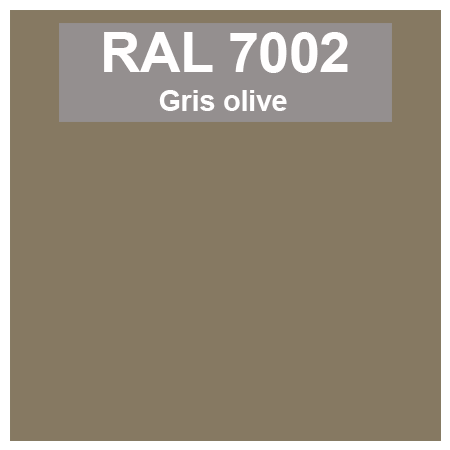 Code teinte RAl 7002 Gris olive