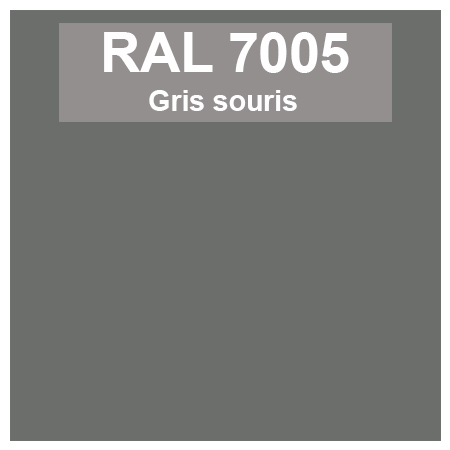 Code teinte RAl 7005 Gris souris