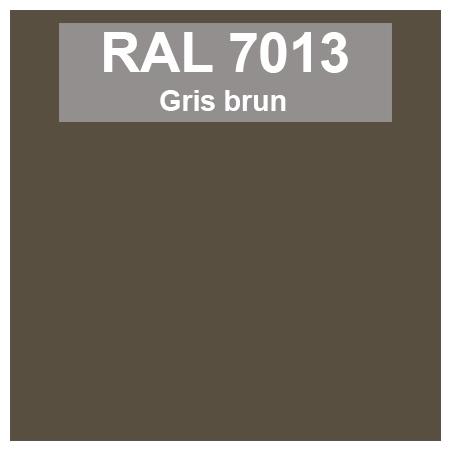 Code teinte RAl 7013 Gris brun