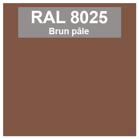 Code teinte RAl 8025 Brun pâle